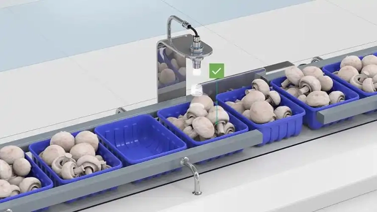 Application in the food presence detection industry