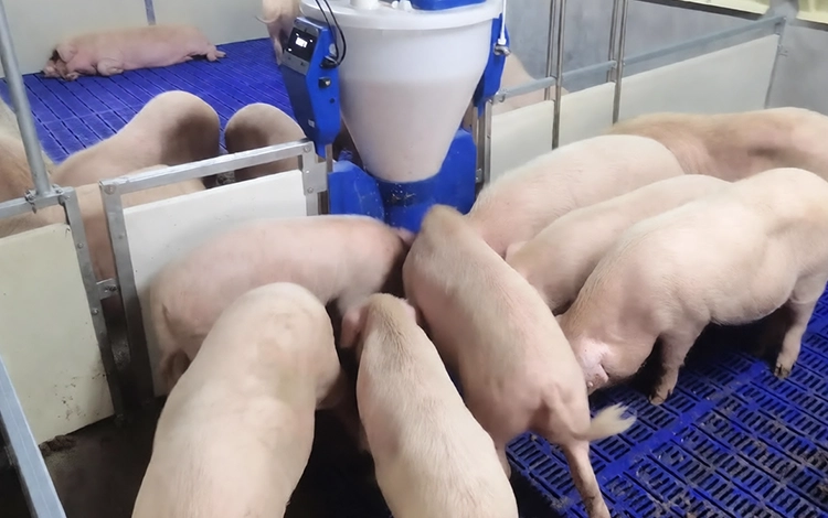 Intelligent porridge machine feed trough level monitoring-Applications of ultrasonic sensors in agriculture