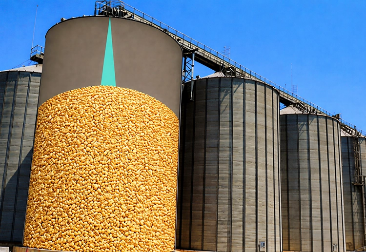 Material Level and Storage Monitoring-Applications of ultrasonic sensors in agriculture