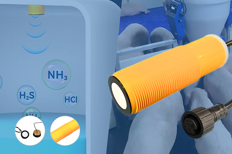 ISSR Launches Brand-New Corrosion-Resistant Ultrasonic Sensor