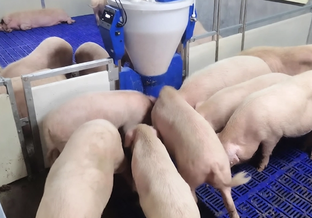 Porridge Ingredient Machine-Liquid and Material Level Detection-application