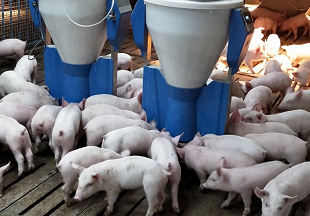 Intelligent Porridge Dispenser-Liquid and Material Level Detection